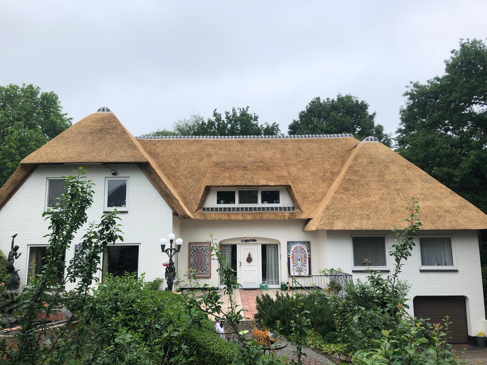 Servicii DNLux de lux